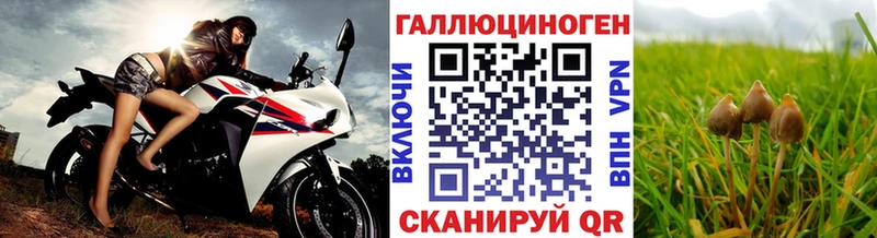 Псилоцибиновые грибы Magic Shrooms  наркошоп  Зима 